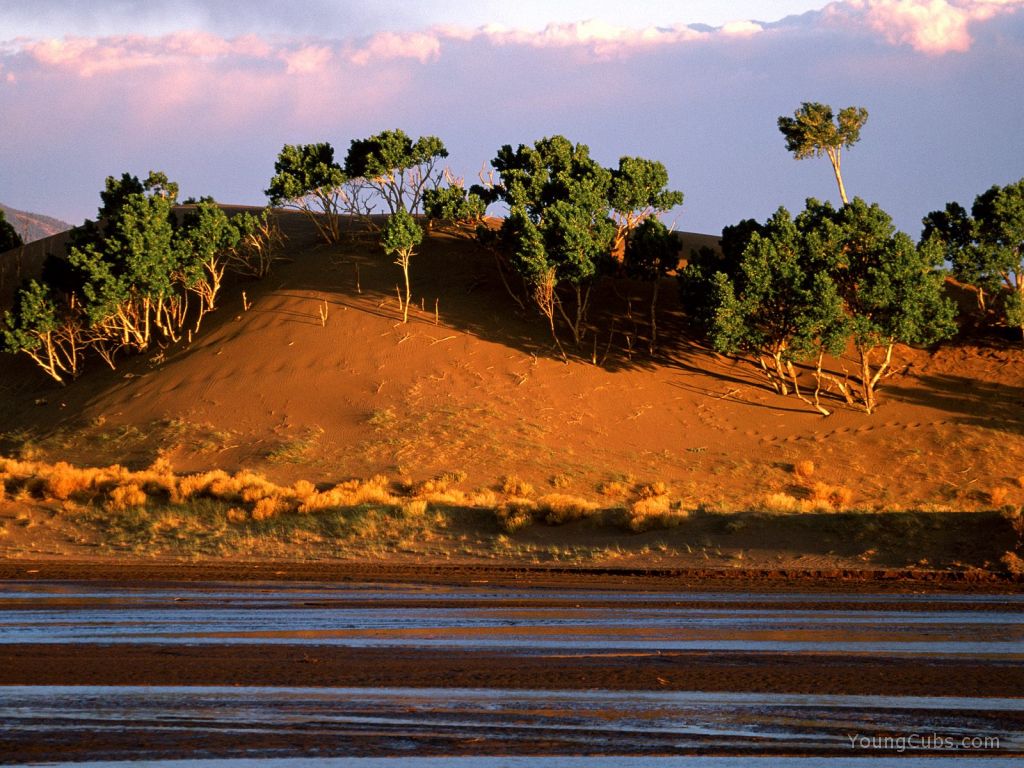 Sand Creek, San Luis Valley, Colorado